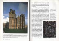 Michael Camille - Gothic Art: Visions and Revelations of the Medieval World