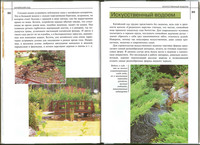 Н.В.Доронина - Ландшафтный дизайн. Выбор стиля. Планировка и подбор растений. Дизайнерские решения