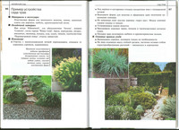 Н.В.Доронина - Ландшафтный дизайн. Выбор стиля. Планировка и подбор растений. Дизайнерские решения