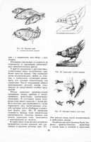 Г.И.Кулебакин, Т.Л.Кильпе - Рисунок и основы композиции