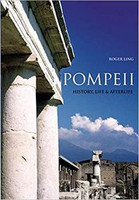 Roger Ling - Pompeii