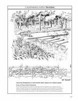 Elizabeth Boults, Chip Sullivan - Illustrated History of Landscape Design